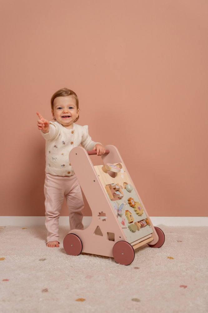 Multi-activity Baby Walker Little Goose